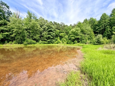 Large Acreage with a Lake and Good Hunting Prentiss Co., MS - image 9