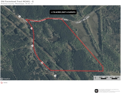 Large Acreage with a Lake and Good Hunting Prentiss Co., MS - image 36