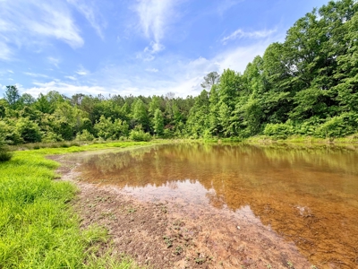 Large Acreage with a Lake and Good Hunting Prentiss Co., MS - image 8