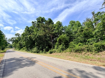 Large Acreage with a Lake and Good Hunting Prentiss Co., MS - image 12