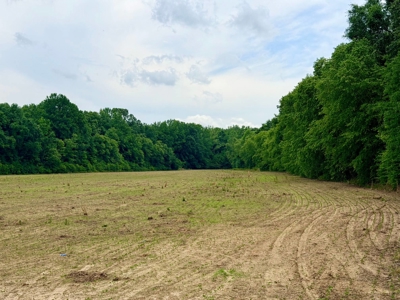 Row Crop Hunting Land For Sale Prentiss County, Mississippi - image 10