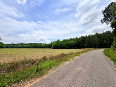 Row Crop Hunting Land For Sale Prentiss County, Mississippi - image 13