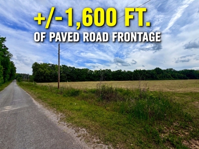 Row Crop Hunting Land For Sale Prentiss County, Mississippi - image 2