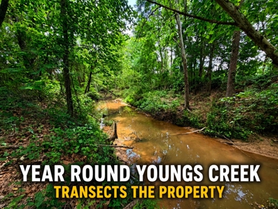 Row Crop Hunting Land For Sale Prentiss County, Mississippi - image 1