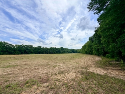 Row Crop Hunting Land For Sale Prentiss County, Mississippi - image 12