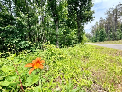 Large Acreage Farming Hunting For Sale Prentiss Co., MS - image 23