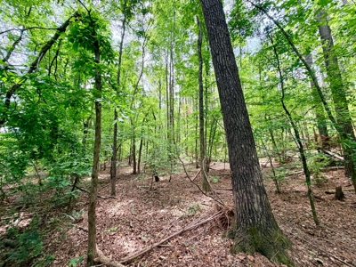 Large Acreage Farming Hunting For Sale Prentiss Co., MS - image 18