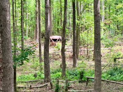 Large Acreage Farming Hunting For Sale Prentiss Co., MS - image 7