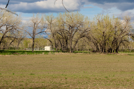 522± Acres Along the Milk River Valley | Near Saco, Montana - image 26