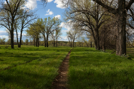 522± Acres Along the Milk River Valley | Near Saco, Montana - image 24