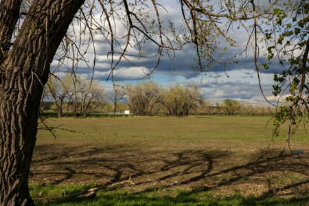 522± Acres Along the Milk River Valley | Near Saco, Montana - image 23