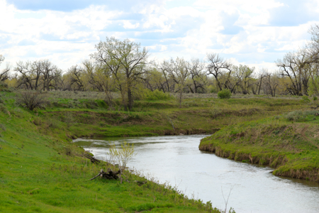 522± Acres Along the Milk River Valley | Near Saco, Montana - image 4