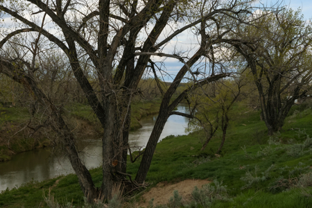 522± Acres Along the Milk River Valley | Near Saco, Montana - image 12