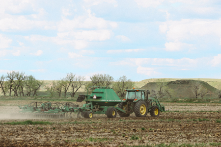 522± Acres Along the Milk River Valley | Near Saco, Montana - image 1