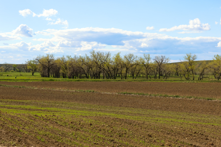 522± Acres Along the Milk River Valley | Near Saco, Montana - image 20