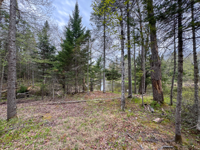 Large Parcel on a Maine Trout Stream - image 10