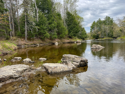 Large Parcel on a Maine Trout Stream - image 4