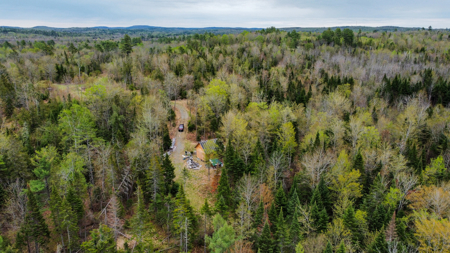 Large Parcel on a Maine Trout Stream - image 18