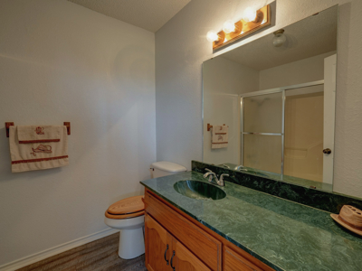 Stunning 15.01 Acre Horse Ranch for Sale in Wake Village, Texas - image 22