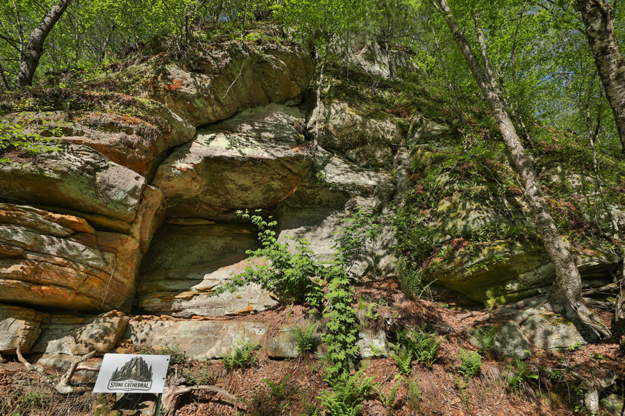 No Caption