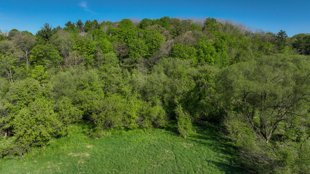 No Caption