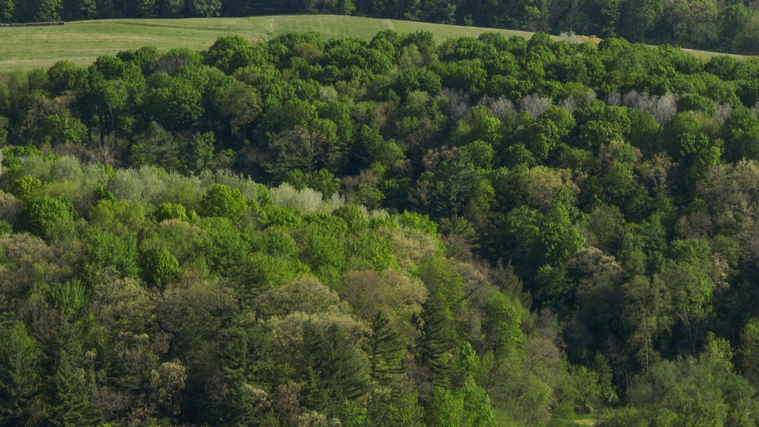 No Caption