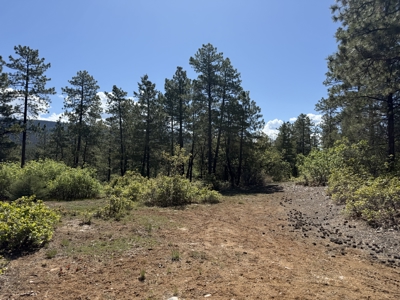 Land for sale with great views with power and shared well and pad - image 2