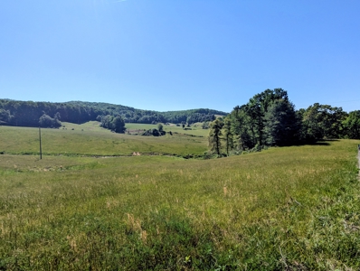Brick Ranch and Farm For Sale In Dugspur, VA - image 24