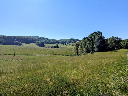 Brick Ranch and Farm For Sale In Dugspur, VA