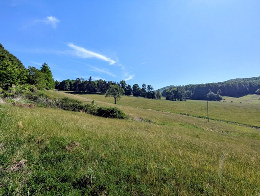 Brick Ranch and Farm For Sale In Dugspur, VA