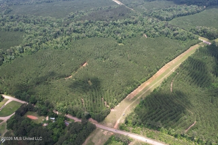 56 Acres in St. Helena Parish with Black Creek - image 24