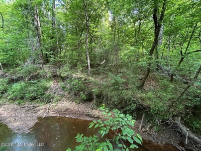 56 Acres in St. Helena Parish with Black Creek - image 9