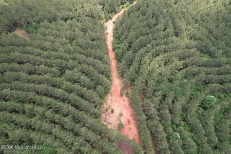 56 Acres in St. Helena Parish with Black Creek - image 28