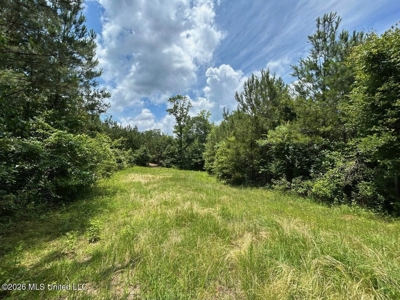 56 Acres in St. Helena Parish with Black Creek - image 37