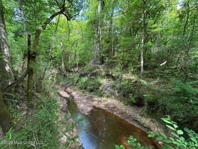 56 Acres in St. Helena Parish with Black Creek - image 8