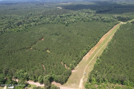 56 Acres in St. Helena Parish with Black Creek - image 21
