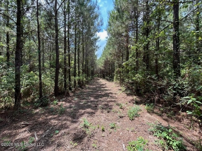 56 Acres in St. Helena Parish with Black Creek - image 34