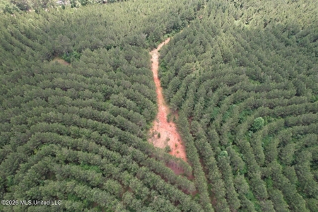 56 Acres in St. Helena Parish with Black Creek - image 27