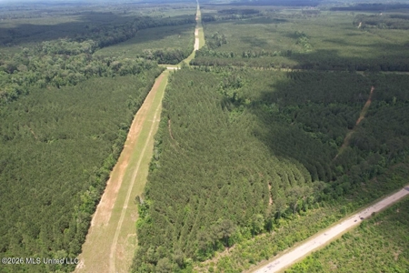 56 Acres in St. Helena Parish with Black Creek - image 22