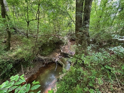 56 Acres in St. Helena Parish with Black Creek - image 7