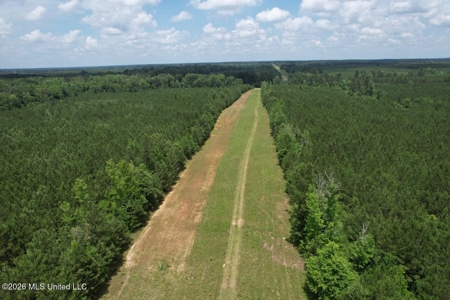 56 Acres in St. Helena Parish with Black Creek - image 20