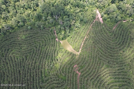 56 Acres in St. Helena Parish with Black Creek - image 25
