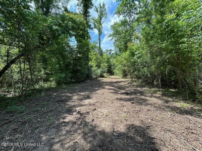 56 Acres in St. Helena Parish with Black Creek - image 40