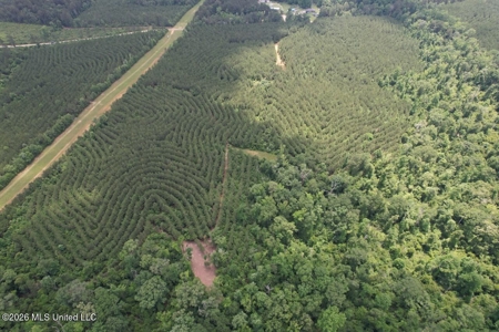 56 Acres in St. Helena Parish with Black Creek - image 26