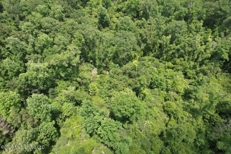 56 Acres in St. Helena Parish with Black Creek - image 29
