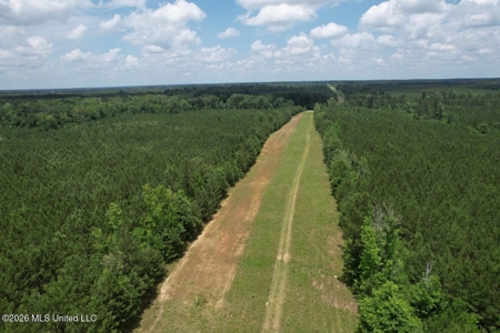 56 Acres in St. Helena Parish with Black Creek - image 19