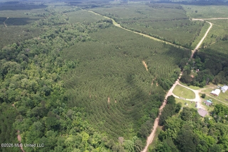 56 Acres in St. Helena Parish with Black Creek - image 31