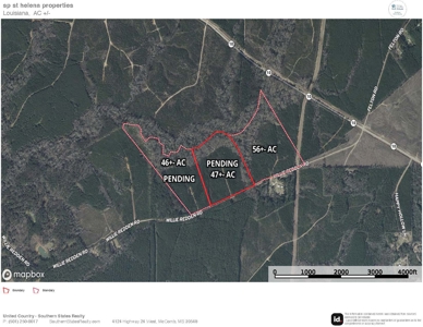 56 Acres in St. Helena Parish with Black Creek - image 42