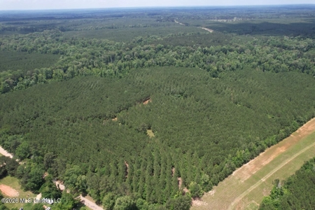 56 Acres in St. Helena Parish with Black Creek - image 23