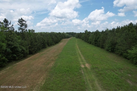 56 Acres in St. Helena Parish with Black Creek - image 33